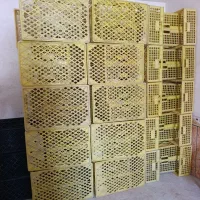سبد خرما (بزرگ) 400تونن