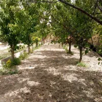 باغ ویلا 1000 متری با سند ملکی در یاس|فروش خانه و ویلا|چناران, |دیوار