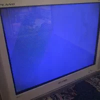 تلوزیون