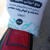 برنج شیرودی شمال