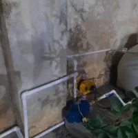 لوله کشی و خدمات|خدمات پیشه و مهارت|آمل, |دیوار