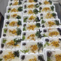 تهیه غذایی