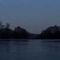 سگ گمشده