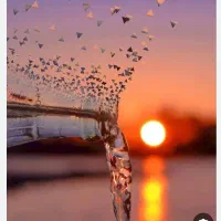 اپلاسیون بانوان