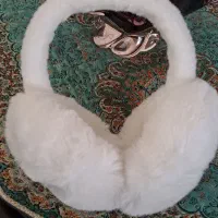 گوش گیر زمستانی