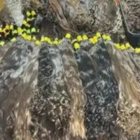 فروش مو خریدار اصلی