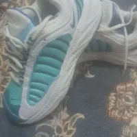 کفش|کیف، کفش، کمربند|ورامین, ورامین|دیوار