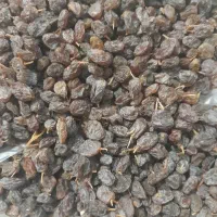 کشمش بیدانه افتابی