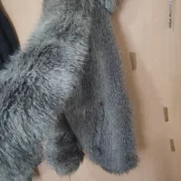 سوشرت بره ای اورجینال