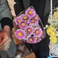 دسته گل داوودی فقط250