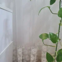 پرده تور دانتل باکیفیت مناسب پذیرایی|پرده، رانر، رومیزی|دلیجان, |دیوار