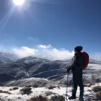 همنورد - طبیعتگردی با سگ