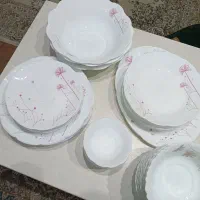 سرویس آرکوپال دسینی