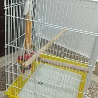 قفس پرنده