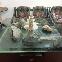 آکواریوم