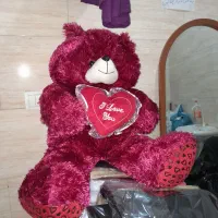 خرس|اسباب‌بازی بچه|آبادان, |دیوار