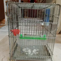 قفس پرنده