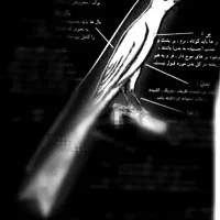 قناری رسمی بلنداصیل