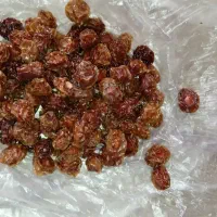آلو خوراکی|خوردنی و آشامیدنی|شیراز, گلشن|دیوار
