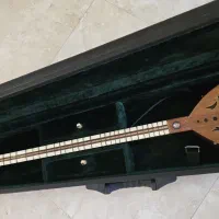 ساز دلنواز- بین تار و سه تار- اثر استاد ژاله