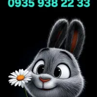 خط رند ایرانسل