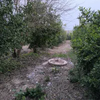 فروش باغ 1035 متری کوچه باغ مهستان|فروش زمین و ملک کلنگی|دزفول, |دیوار