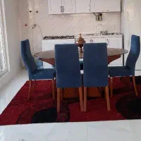 فرش شگی ۶متری