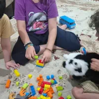 تدریس خصوصی ابتدایی