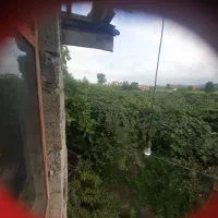 اجاره دادن باغ کیوی|اجارهٔ دفتر صنعتی، کشاورزی، تجاری|آستارا, |دیوار