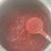 رب گوجه خانگی