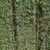 پرس یونجه چن چهارم خشک درجه 1|لوازم جانبی حیوانات|بروجرد, |دیوار