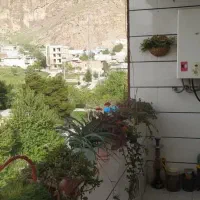 اجاره آپارتمان بیمارستان عسلیان