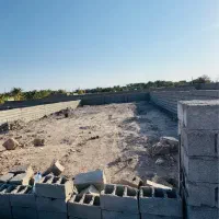 ۳۲۰متر زمین فروشی در صاحب الزمان|فروش زمین و ملک کلنگی|بم, |دیوار