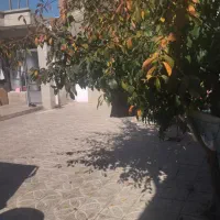 فروش مسکونی به متراژ ۲۲۰ متر در محله قاضی|فروش زمین و ملک کلنگی|خوی, |دیوار