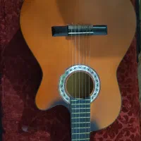 گیتار ایرانی