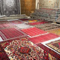 ادمین سایت و شبکه های اجتماعی