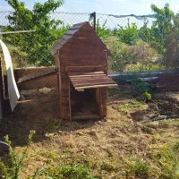 خانه لوکس و مقاوم سگهای بزرگ