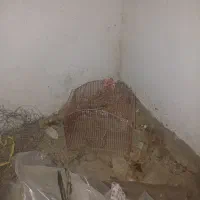 قفس پرده وسیم کارت کارکرده باکدهای مختلف