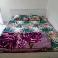 انواع سوییت داخل شهر فومن خانواده ومجرد|اجارهٔ کوتاهمدت آپارتمان و سوئیت|فومن, |دیوار