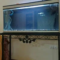 آکواریوم 120 سانتی شرکتی شیشه خم