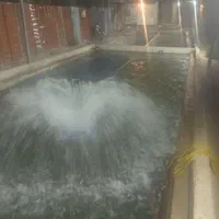 کارگر ساده برای دپو ماهی قزل آلا