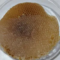 عسل طبیعی آذربایجان|حراج|قم, نیروگاه|دیوار