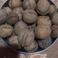 فروش گردو کاغذی روغنی سفید|خوردنی و آشامیدنی|دشتابی, |دیوار