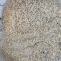 برنج صد درصد ایرانی خالص کشت خودمونه.   برنج الموت|خوردنی و آشامیدنی|تهران, شهرک ولیعصر شمالی|دیوار