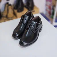 انواع کفش چرم مصنوعی|کیف، کفش، کمربند|اصفهان, تخت فولاد|دیوار