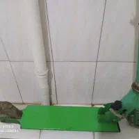 اسکوتر