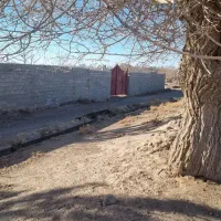 63قصب-زمین-برای-خانه-باغ-هماشهر