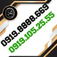 0919.8888.669