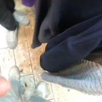 به یک فروشنده نیازمندم