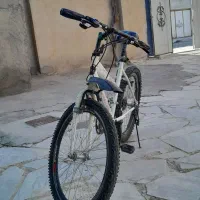 دوچرخه پلیسی اصل